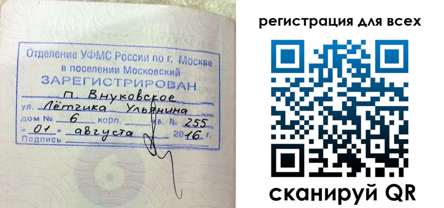 прописка 2025 в Покрове